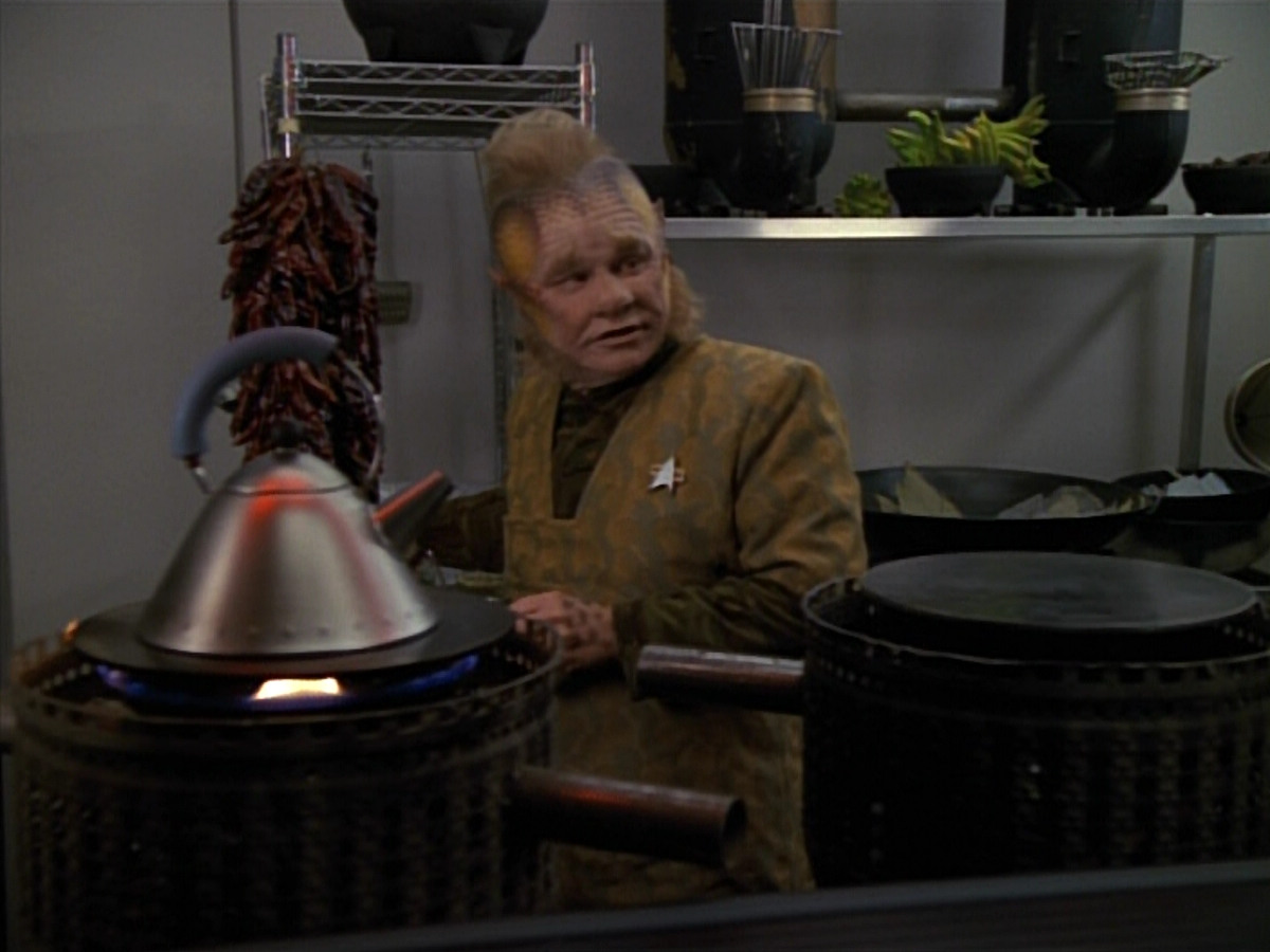 extant_StarTrekVOY_4x22-Unforgettable_01915.jpg