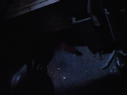 Filename=extant_StarTrekVOY_4x22-Unforgettable_00486.jpg
Filesize=105KiB
Dimensions=1200x900
Date added=Oct 02, 2019 extant_StarTrekVOY_4x22-Unforgettable_00486.jpg