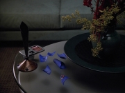extant_StarTrekVOY_4x22-Unforgettable_02919.jpg