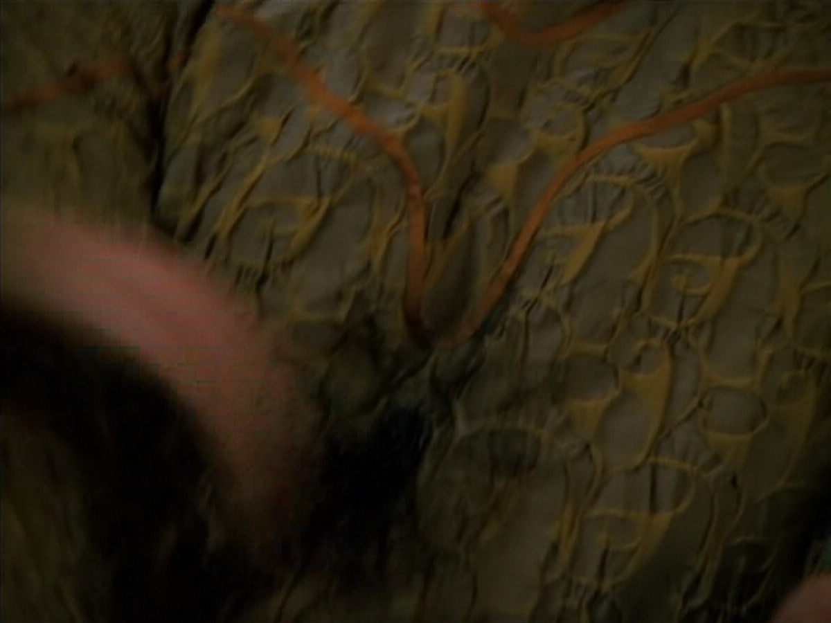 extant_StarTrek_Voyager_4x26-HopeAndFear_02576.jpg
