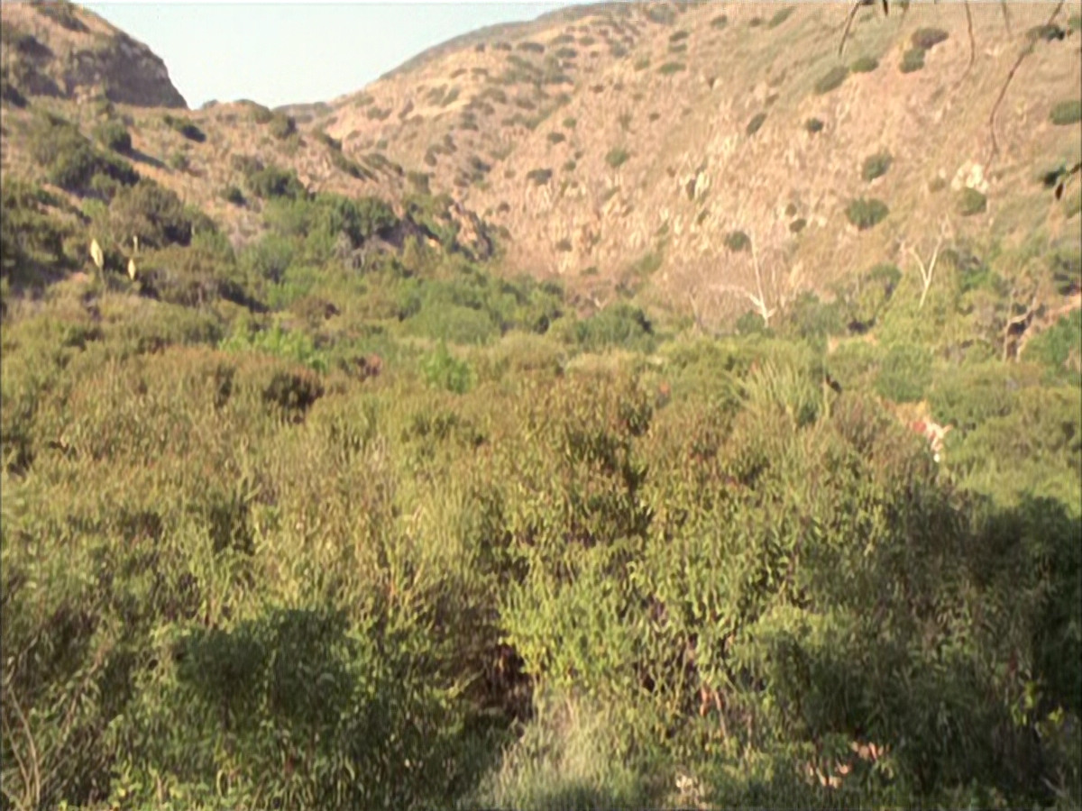 extant_StarTrek_VOY_6x01-EquinoxPart2_01475.jpg