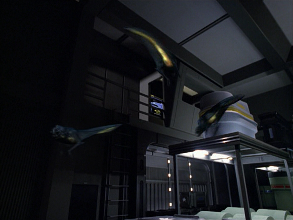 extant_StarTrek_VOY_6x01-EquinoxPart2_02281.jpg