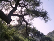 extant_StarTrek_VOY_6x01-EquinoxPart2_01458.jpg