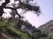extant_StarTrek_VOY_6x01-EquinoxPart2_01459.jpg