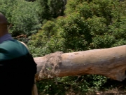 extant_StarTrek_VOY_6x01-EquinoxPart2_01491.jpg