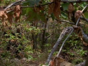extant_StarTrek_VOY_6x01-EquinoxPart2_01497.jpg