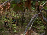 extant_StarTrek_VOY_6x01-EquinoxPart2_01498.jpg