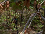 extant_StarTrek_VOY_6x01-EquinoxPart2_01499.jpg