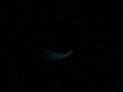 extant_StarTrek_VOY_6x01-EquinoxPart2_03276.jpg