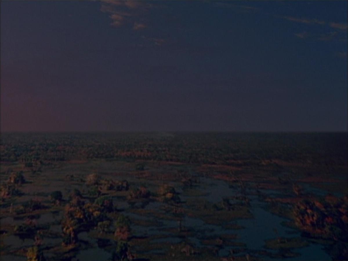 extant_StarTrek_VOY_6x02-SurvivalInstinct_00015.jpg