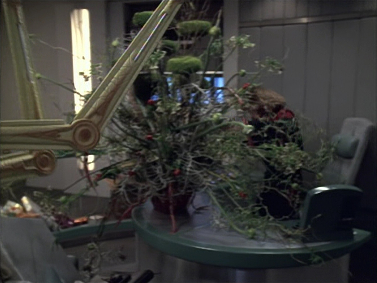 extant_StarTrek_VOY_6x02-SurvivalInstinct_00311.jpg