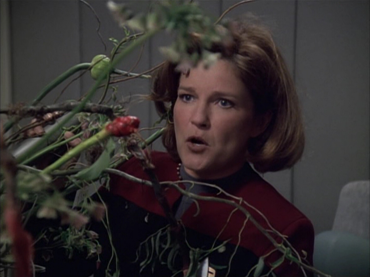 extant_StarTrek_VOY_6x02-SurvivalInstinct_00318.jpg