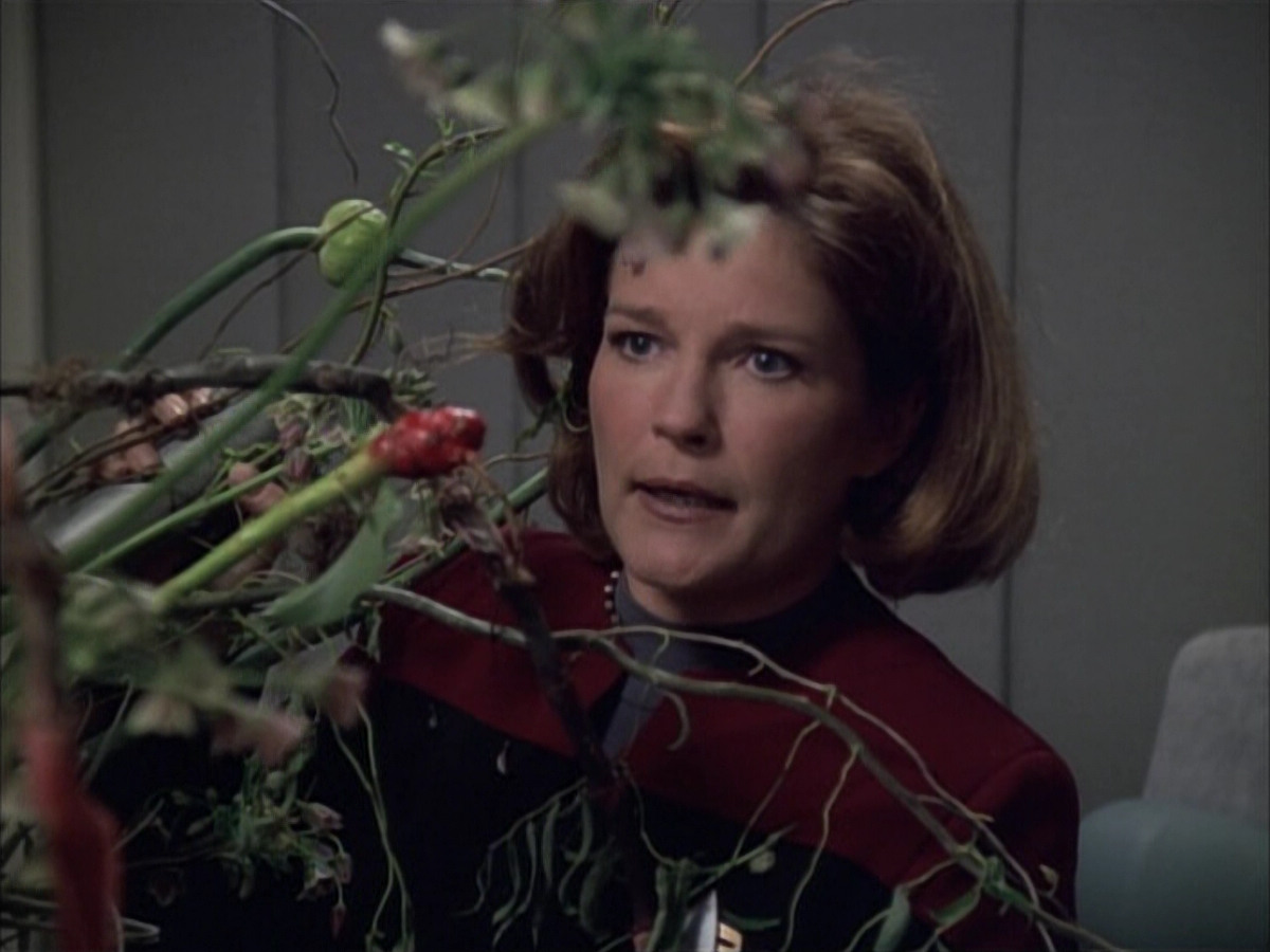 extant_StarTrek_VOY_6x02-SurvivalInstinct_00319.jpg