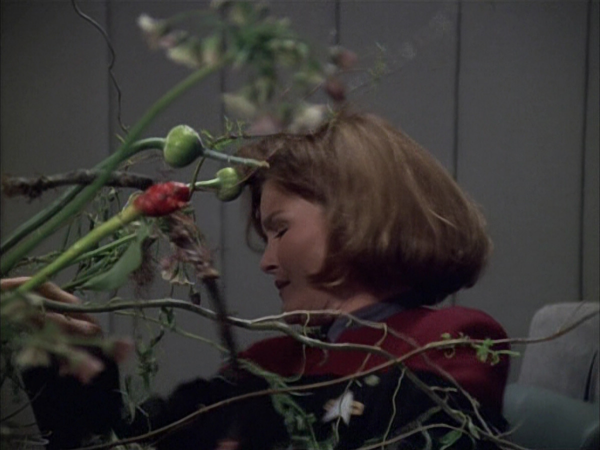 extant_StarTrek_VOY_6x02-SurvivalInstinct_00333.jpg