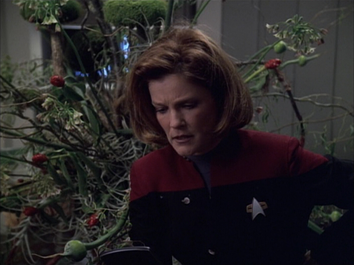 extant_StarTrek_VOY_6x02-SurvivalInstinct_00382.jpg