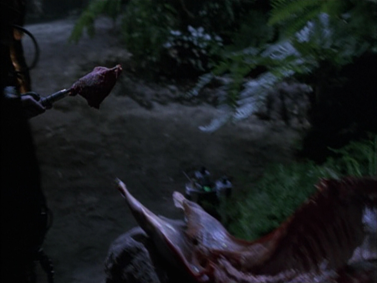 extant_StarTrek_VOY_6x02-SurvivalInstinct_01250.jpg