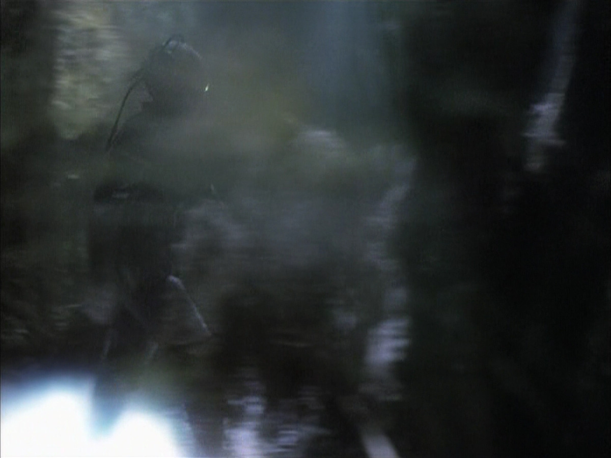 extant_StarTrek_VOY_6x02-SurvivalInstinct_02412.jpg
