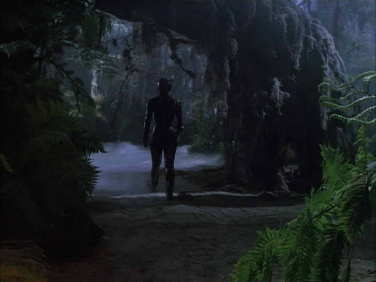 extant_StarTrek_VOY_6x02-SurvivalInstinct_02440.jpg