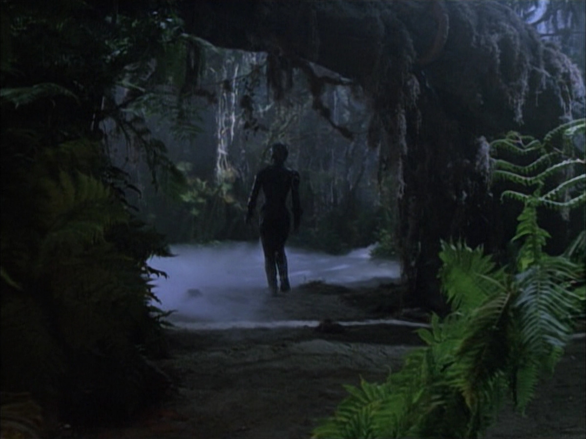 extant_StarTrek_VOY_6x02-SurvivalInstinct_02442.jpg