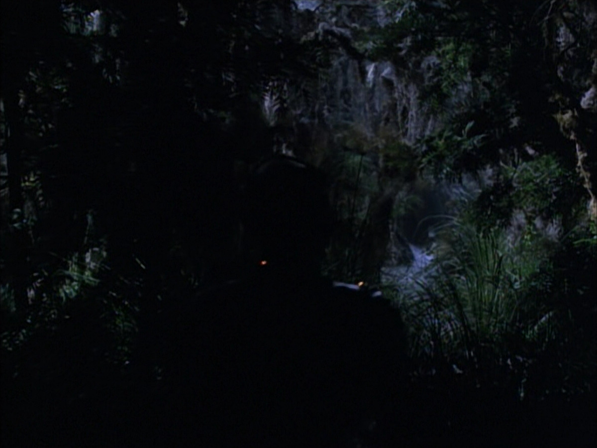 extant_StarTrek_VOY_6x02-SurvivalInstinct_02448.jpg