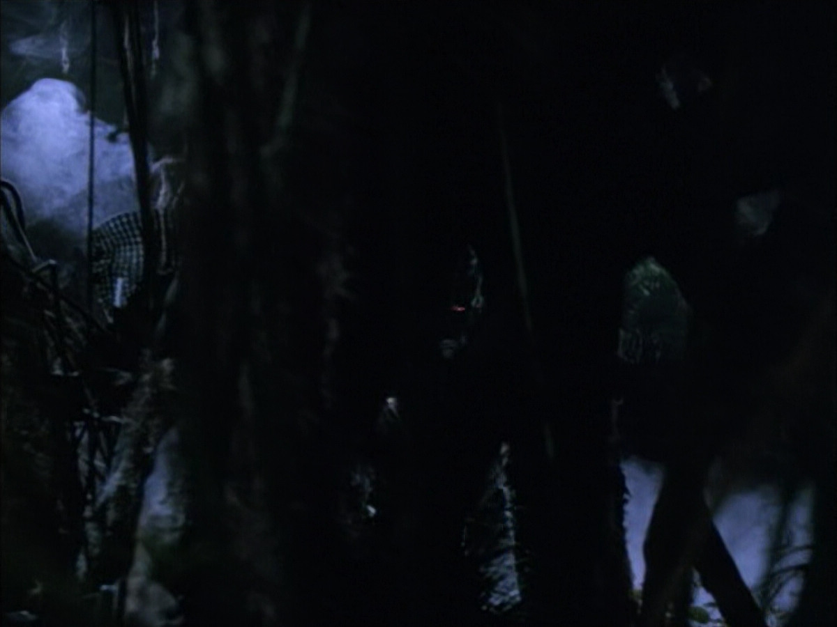 extant_StarTrek_VOY_6x02-SurvivalInstinct_02469.jpg