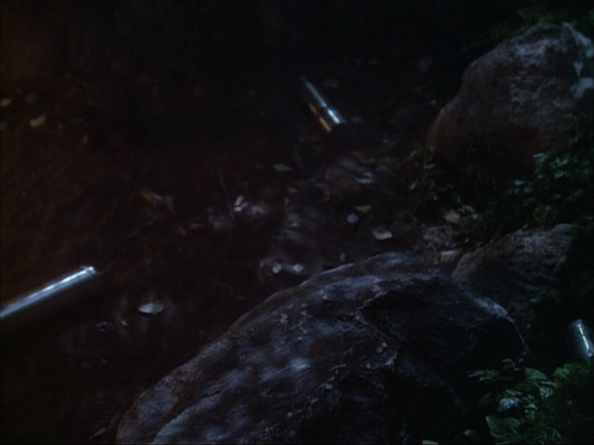extant_StarTrek_VOY_6x02-SurvivalInstinct_02579.jpg