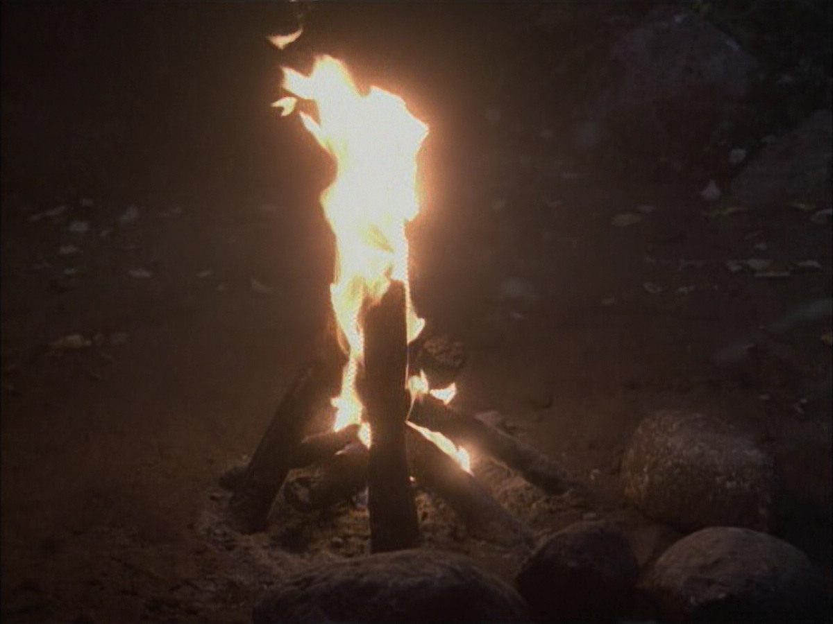 extant_StarTrek_VOY_6x02-SurvivalInstinct_02645.jpg