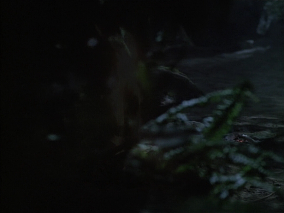 extant_StarTrek_VOY_6x02-SurvivalInstinct_02648.jpg