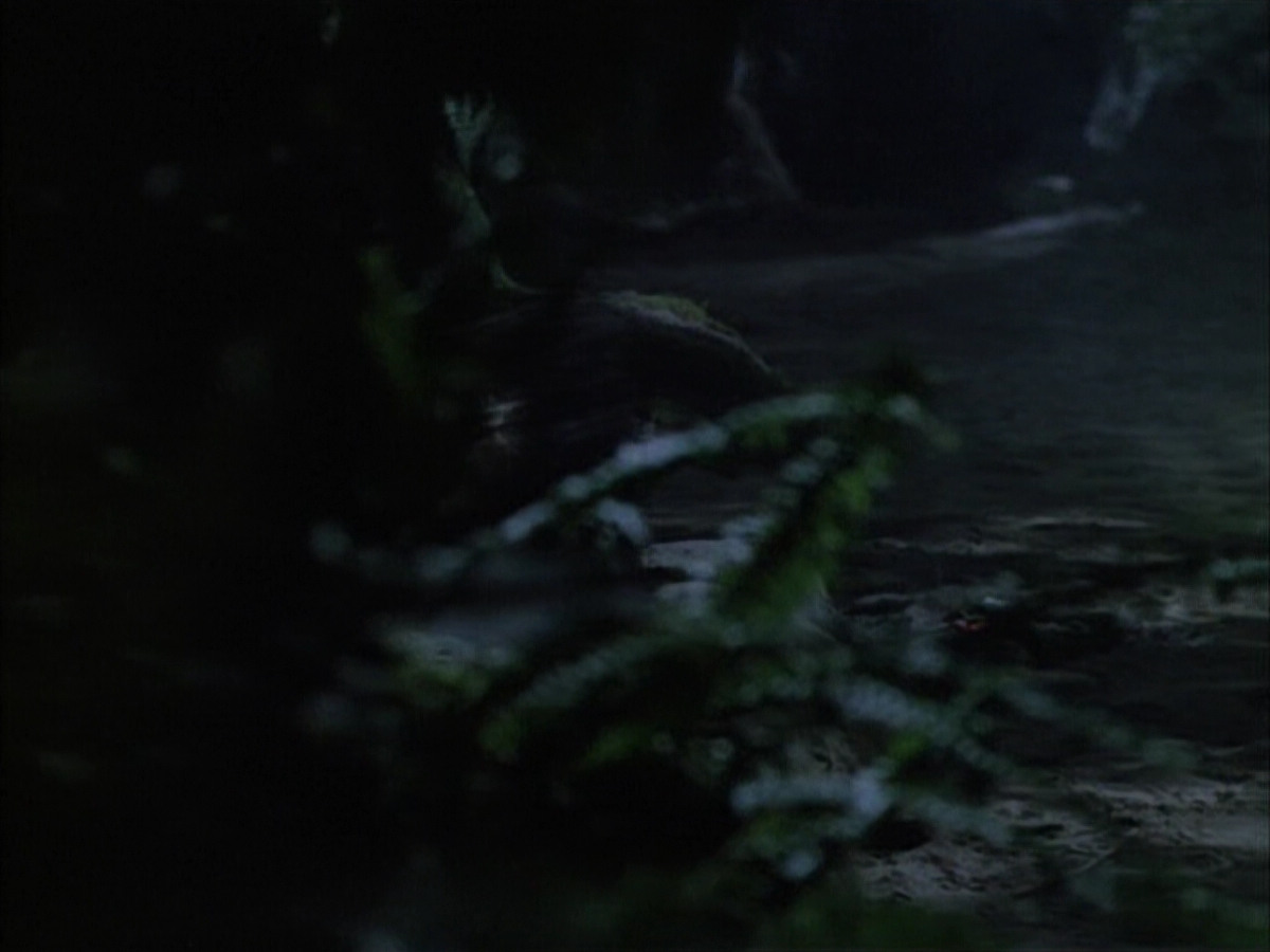 extant_StarTrek_VOY_6x02-SurvivalInstinct_02649.jpg