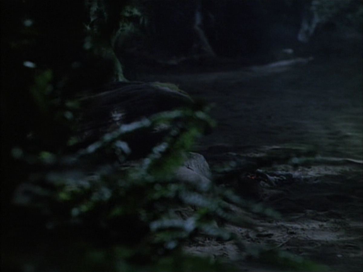 extant_StarTrek_VOY_6x02-SurvivalInstinct_02650.jpg