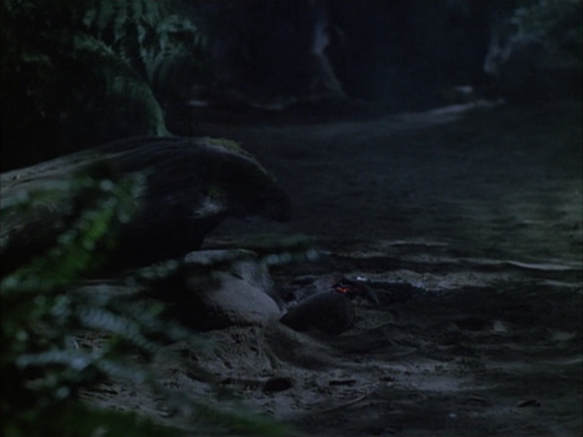 extant_StarTrek_VOY_6x02-SurvivalInstinct_02653.jpg