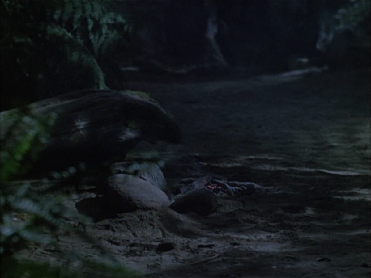 extant_StarTrek_VOY_6x02-SurvivalInstinct_02654.jpg
