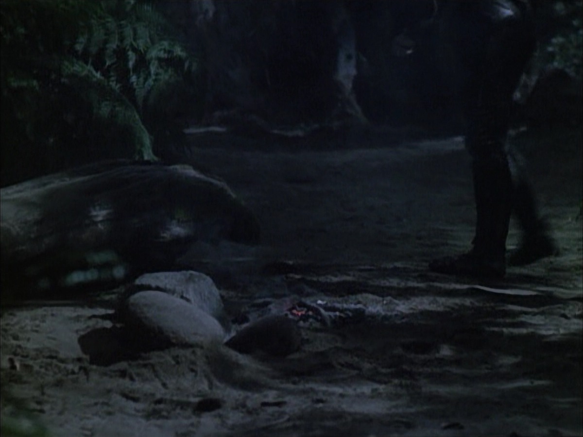 extant_StarTrek_VOY_6x02-SurvivalInstinct_02656.jpg