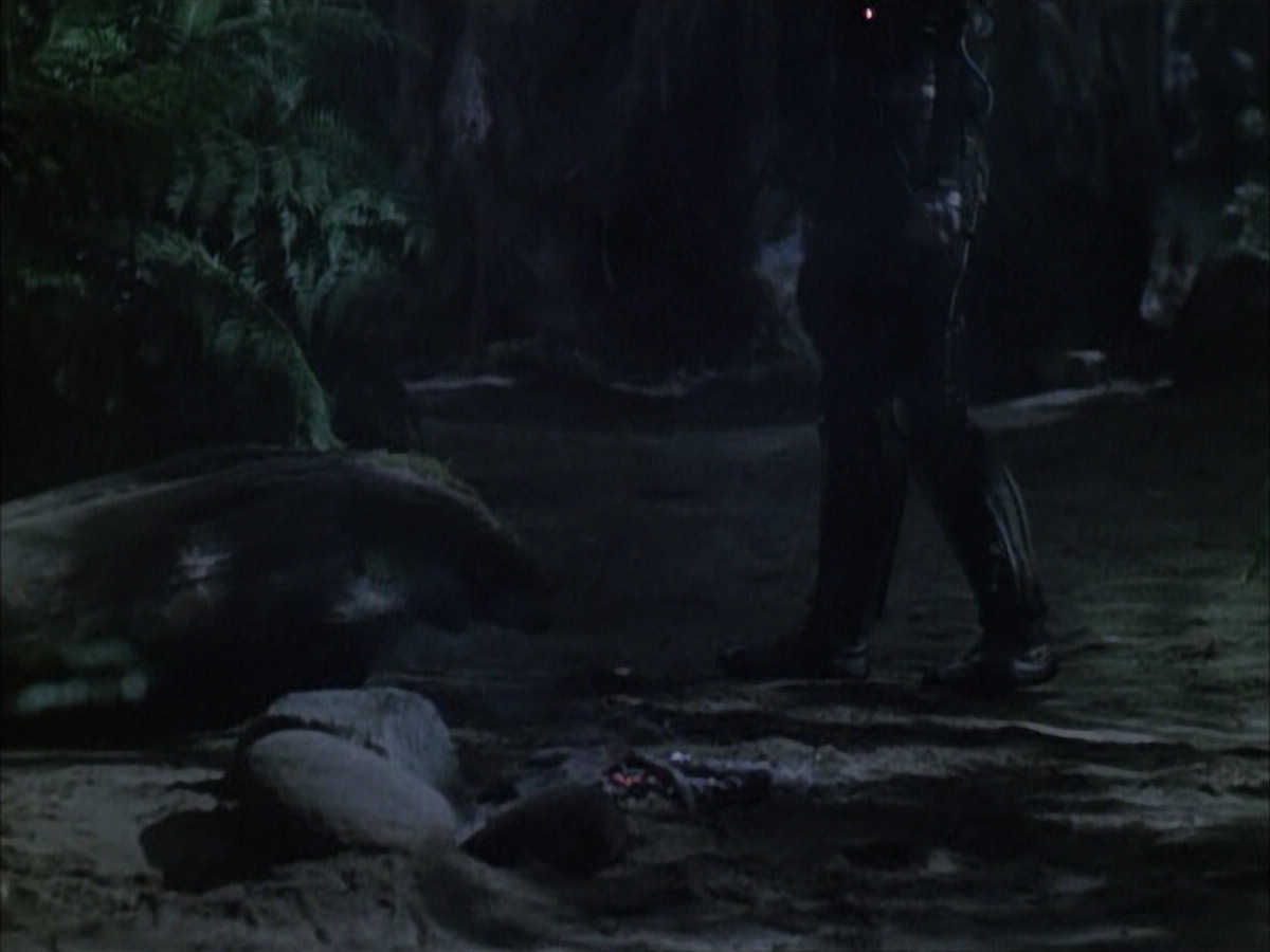 extant_StarTrek_VOY_6x02-SurvivalInstinct_02657.jpg