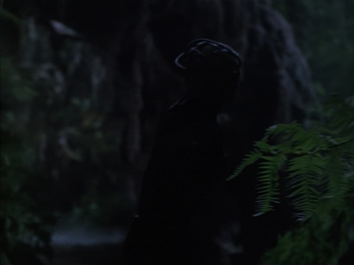 extant_StarTrek_VOY_6x02-SurvivalInstinct_02669.jpg