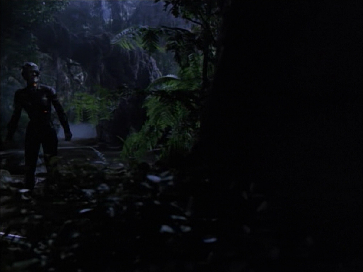 extant_StarTrek_VOY_6x02-SurvivalInstinct_02674.jpg