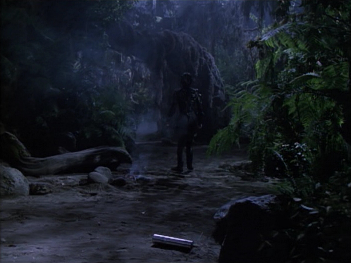 extant_StarTrek_VOY_6x02-SurvivalInstinct_02680.jpg