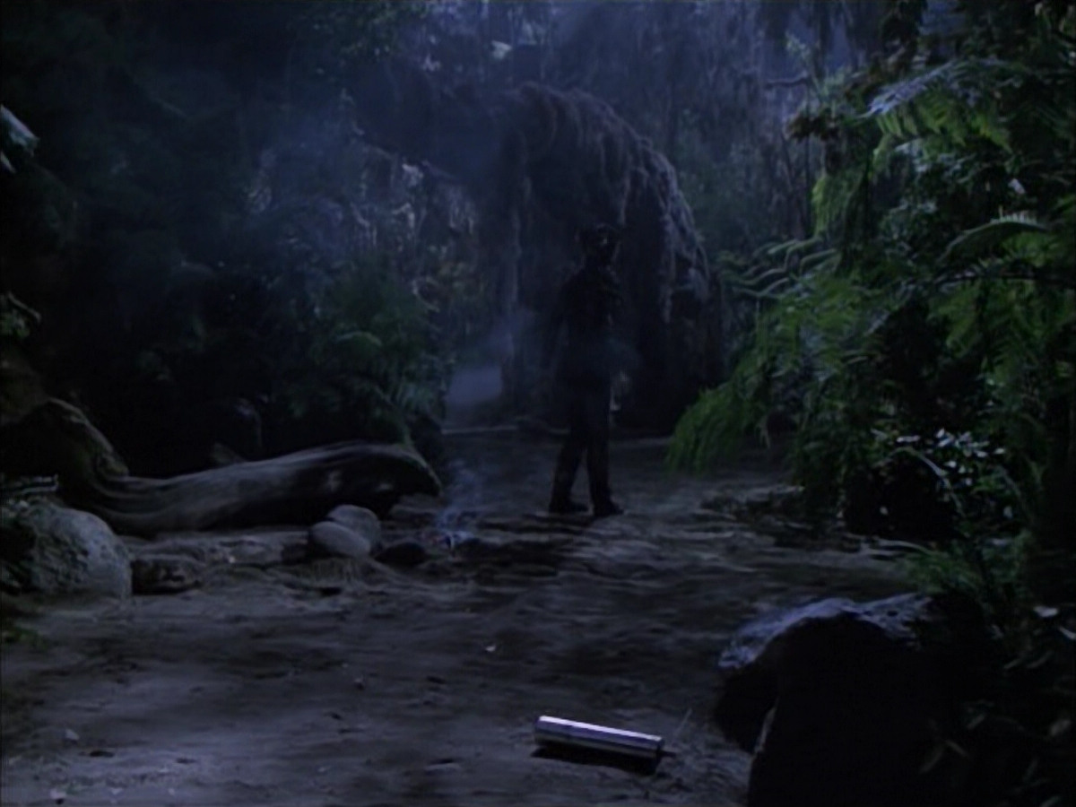 extant_StarTrek_VOY_6x02-SurvivalInstinct_02681.jpg
