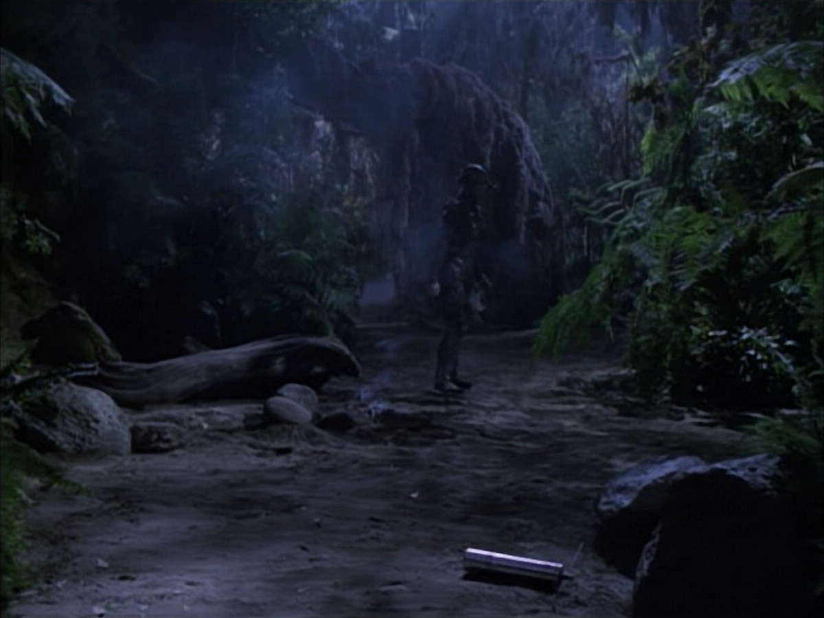 extant_StarTrek_VOY_6x02-SurvivalInstinct_02682.jpg
