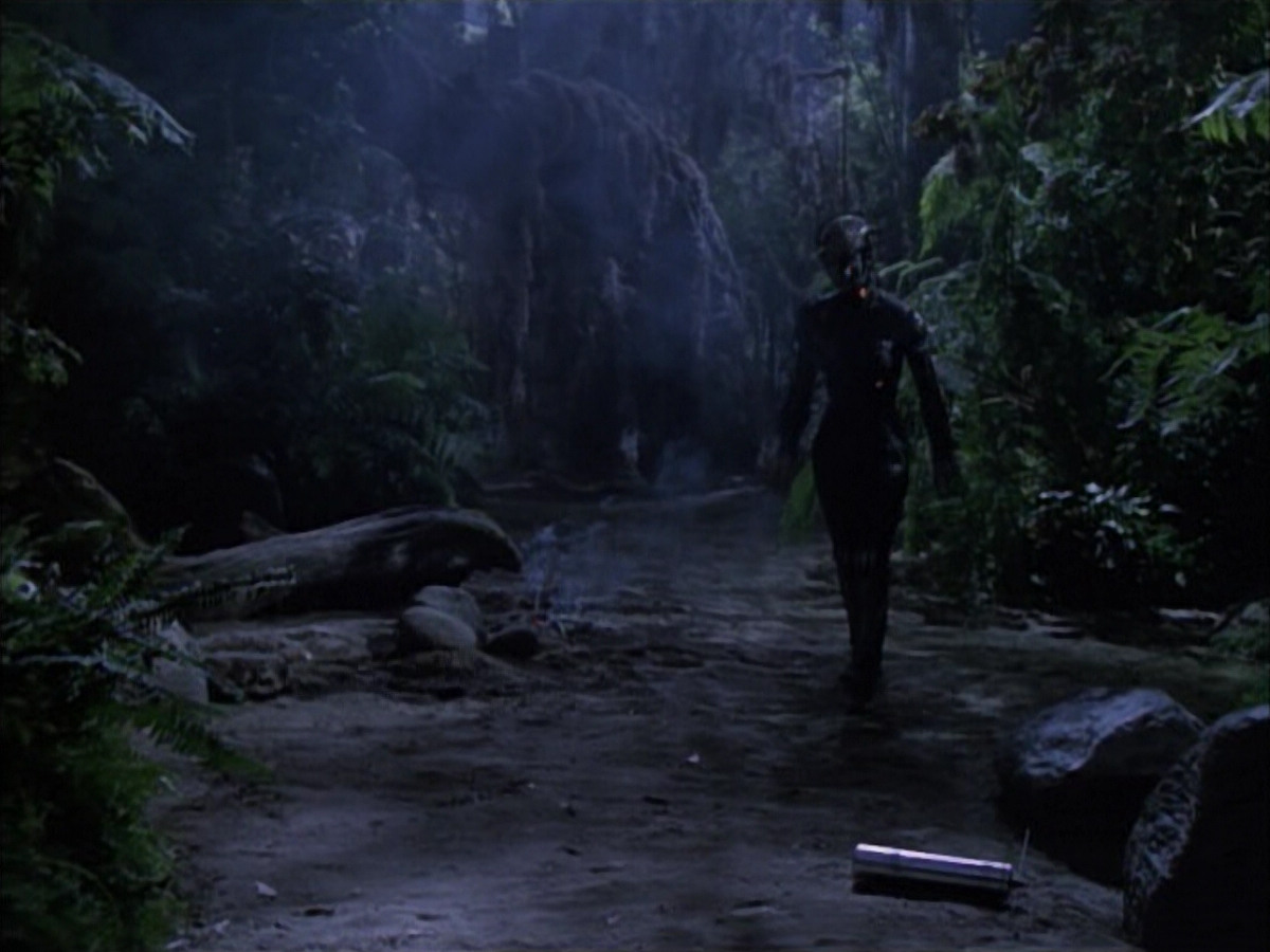 extant_StarTrek_VOY_6x02-SurvivalInstinct_02686.jpg