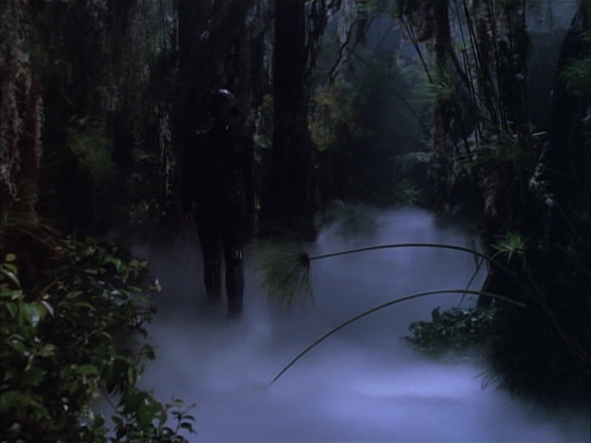 extant_StarTrek_VOY_6x02-SurvivalInstinct_02700.jpg