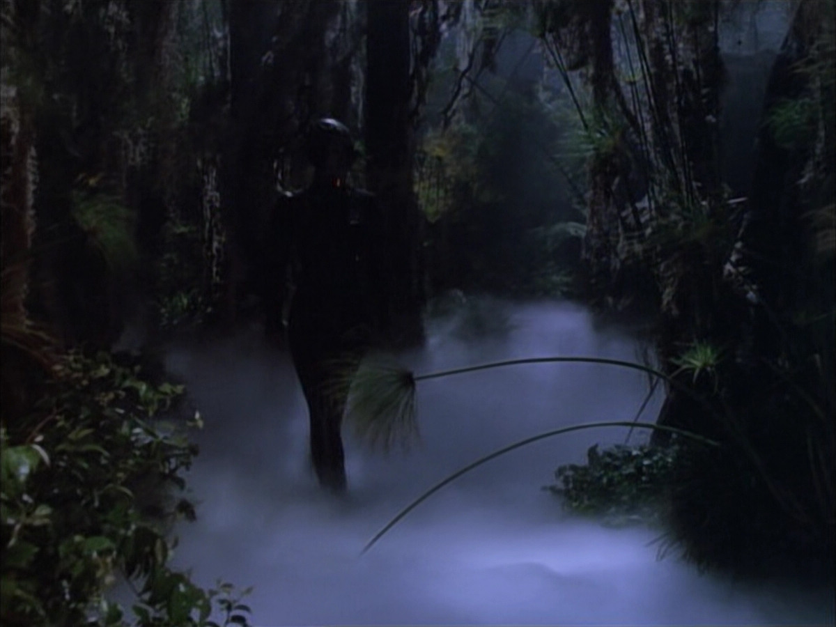 extant_StarTrek_VOY_6x02-SurvivalInstinct_02701.jpg