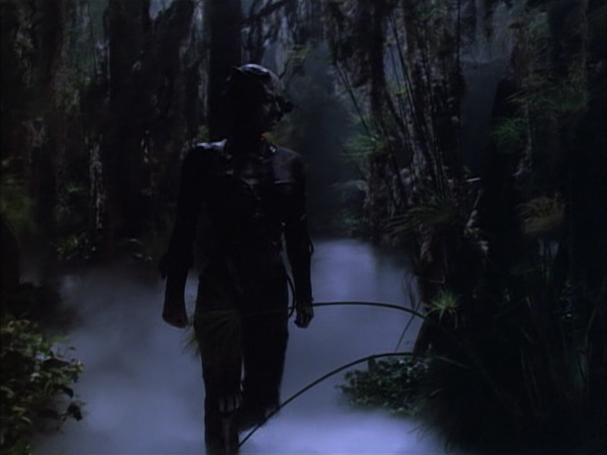 extant_StarTrek_VOY_6x02-SurvivalInstinct_02703.jpg