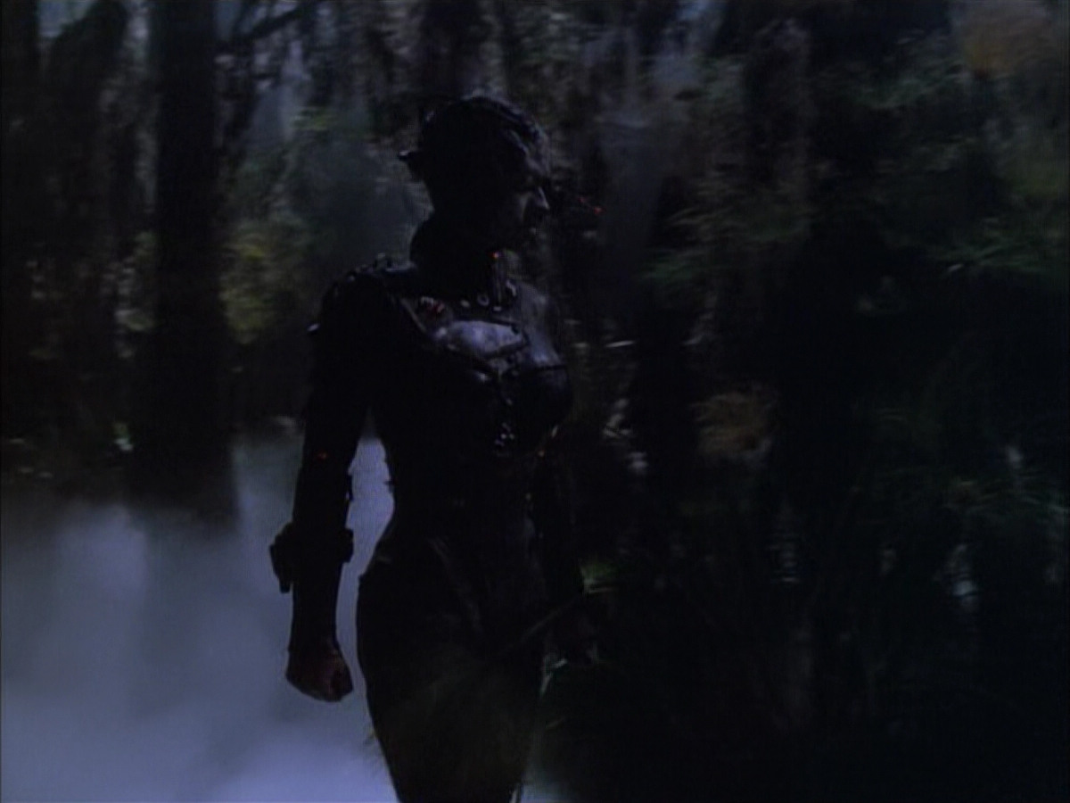 extant_StarTrek_VOY_6x02-SurvivalInstinct_02704.jpg