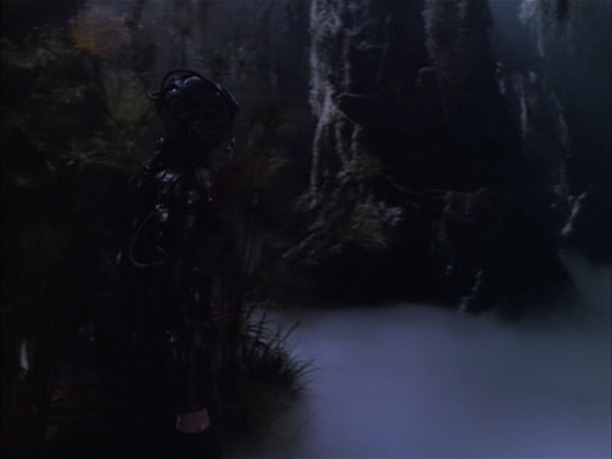extant_StarTrek_VOY_6x02-SurvivalInstinct_02706.jpg