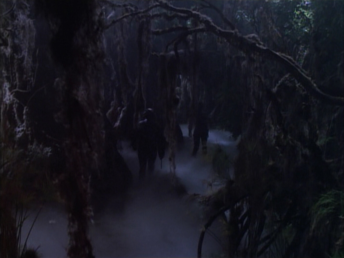 extant_StarTrek_VOY_6x02-SurvivalInstinct_02738.jpg