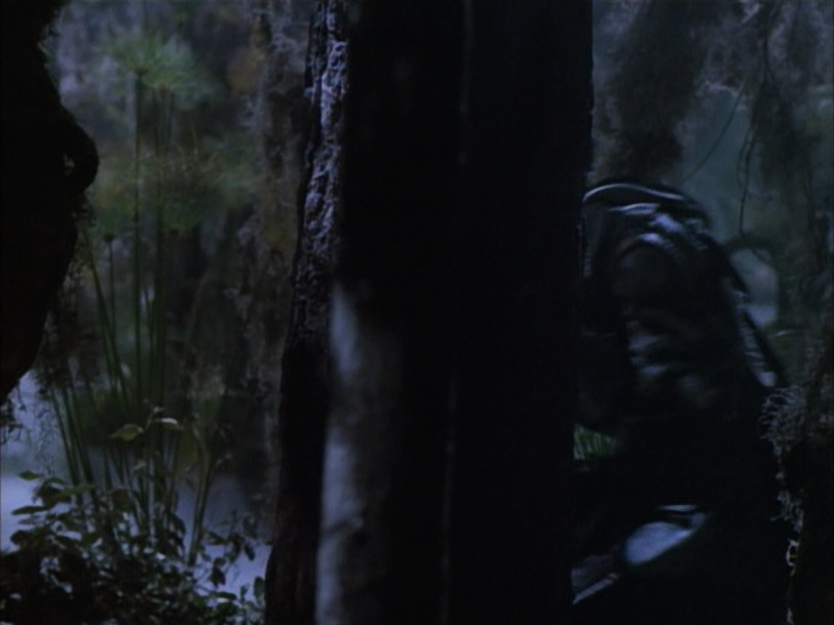 extant_StarTrek_VOY_6x02-SurvivalInstinct_02753.jpg