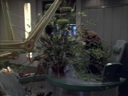 Filename=extant_StarTrek_VOY_6x02-SurvivalInstinct_00311.jpg
Filesize=189KiB
Dimensions=1200x900
Date added=Dec 27, 2019 extant_StarTrek_VOY_6x02-SurvivalInstinct_00311.jpg