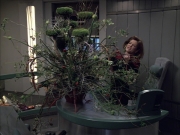 Filename=extant_StarTrek_VOY_6x02-SurvivalInstinct_00316.jpg
Filesize=225KiB
Dimensions=1200x900
Date added=Dec 27, 2019 extant_StarTrek_VOY_6x02-SurvivalInstinct_00316.jpg