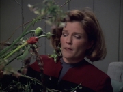 Filename=extant_StarTrek_VOY_6x02-SurvivalInstinct_00331.jpg
Filesize=163KiB
Dimensions=1200x900
Date added=Dec 27, 2019 extant_StarTrek_VOY_6x02-SurvivalInstinct_00331.jpg